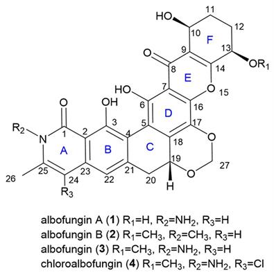 Discovery, Bioactivity Evaluation, Biosynthetic Gene Cluster Identification, and Heterologous Expression of Novel Albofungin Derivatives